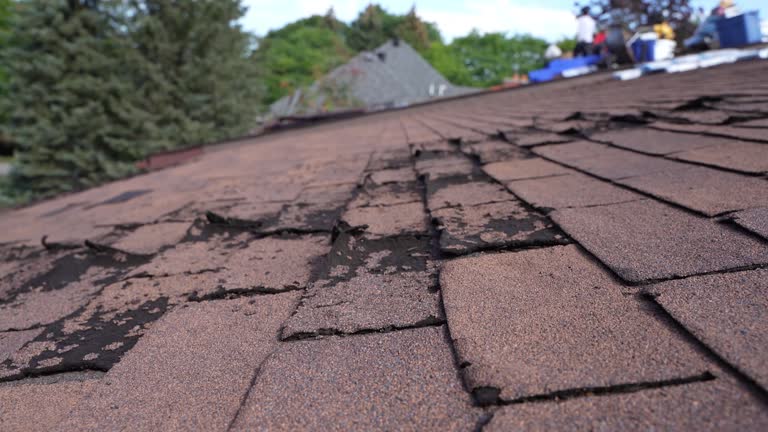 Hot Roofs in Geneseo, IL